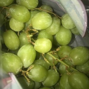 Meet your Posher, Janara